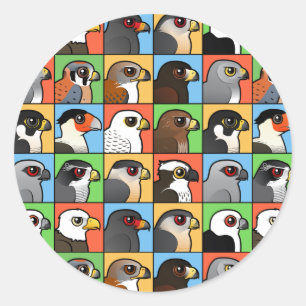 16 Noord-Amerikaanse Raptorprofielen (betegeld) Ronde Sticker
