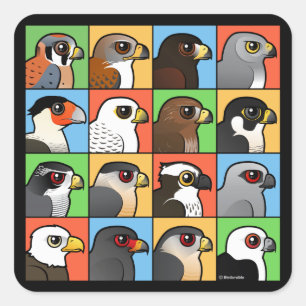 16 Noord-Amerikaanse Raptorprofielen Vierkante Sticker