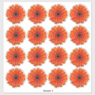 16 Oranje Gerbera Madeliefje Flower Kiss-Cut Stick Sticker