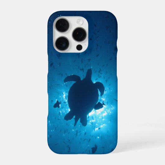 16 Pro Coque iphone à rayons d'aigle tacheté (Verso)