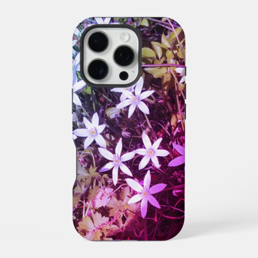 16 Pro Coque iphone de fleurs d'étoile blanche (Verso)