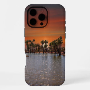 16 Pro Max Coucher de soleil à Papago Park Coque iphone