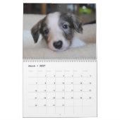 16 Silken Windhounds Agenda 2016 Kalender (Mar 2027)
