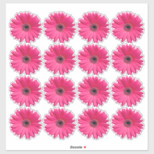 16 Stickers Kiss-Cut Rose Gerbera Daisy