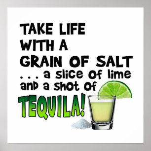 16" X 16" POSTER - VIE, LIME, SEL, TEQUILA !