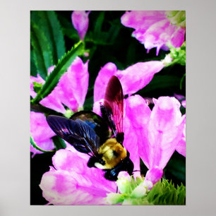 16 x 20-inch poster (halfglanzend) Collectie voor