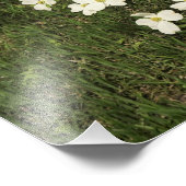 16 x 20-inch witte duoghoutboom foto afdruk (Hoek)