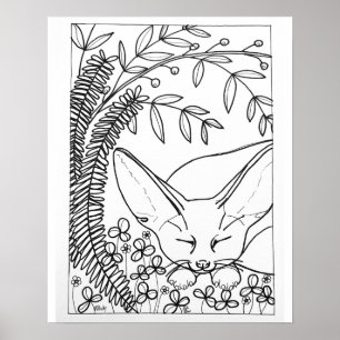 16 "x 20" Slapen Fennec Fox kleurstof Poster