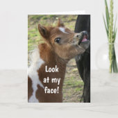 **16e ANNIVERSAIRE** Carte PONY SURPIRÉE (Devant)