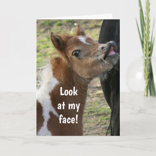 **16e ANNIVERSAIRE** Carte PONY SURPIRÉE (Devant)