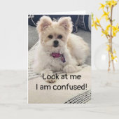 **16e ANNIVERSAIRE** SI CONFUS ! Carte (Fleur jaune)