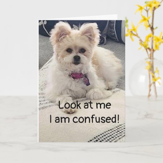 **16e ANNIVERSAIRE** SI CONFUS ! Carte (Fleur jaune)