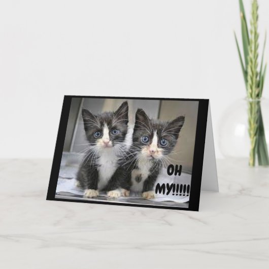 **16e BIRTHDAY** KITTENS ZEGGEN WOW!!! Kaart (Voorkant)