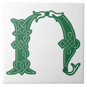 16e eeuw Celtic Knot Decorative Capital N Tegeltje