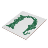 16e eeuw Celtic Knot Decorative Capital N Tegeltje (Zijkant)