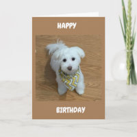 ***16e halve dag***EEN NIEUWE BESTUURDER!