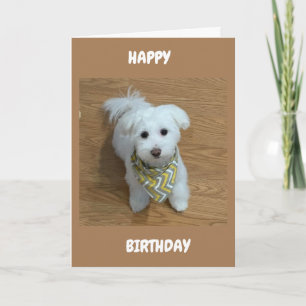 ***16e halve dag***EEN NIEUWE BESTUURDER! Kaart