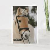 ***16e halve dag*** WOW ZEGT OVERGESCHREVEN HORSE  Kaart (Voorkant)