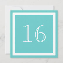 16e verjaardag van de uitnodiging van de Birthday 