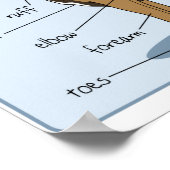 16x12 Canine-anatomie Poster (Hoek)