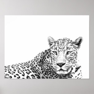16x12-inch moderne zwarte en witte jaguar poster