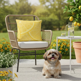 16x16 Gele Meyer Citroenprint Outdoor Kussen