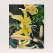 16x20, 520 pièce, Puzzle (Vertical)