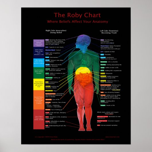 16x20-inch Roby Chart:waar overtuigingen de anatom Poster (Voorkant)