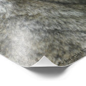 16x20 onvolgroeide rode wolf foto afdruk (Hoek)