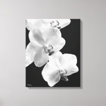 16x20 orchideeën in zwart & wit verpakt canvas kun