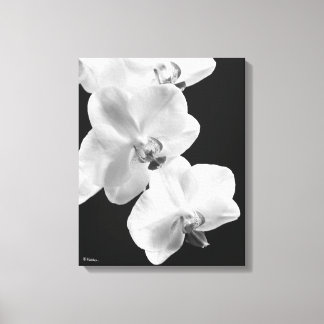 16x20 orchideeën in zwart & wit verpakt canvas kun afdruk