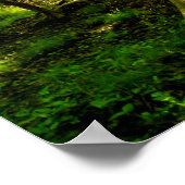 16x20 Poster - Bosbouwpad (Hoek)