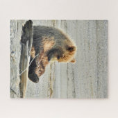 16x20 Puzzle de grizzli ourson (Horizontal)