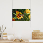 16x24 Indische mandenbloem en vlinder Poster (Keuken)
