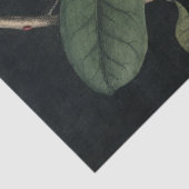  1731 Magnolia Flower Pod-papier Tissuepapier (Detail)