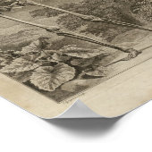  1749 Skeletanatomie Afdrukken Poster (Hoek)