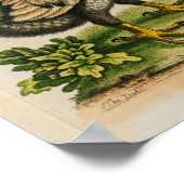 1760 Dodo Bird  Illustration Print (Hoek)