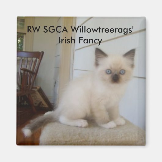 178, RW SGCA Willowtreerags' Iers Fancy Magneet (Voorkant)