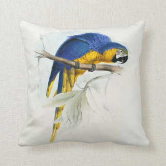 #17-Blauw & gele maccaw Kussen