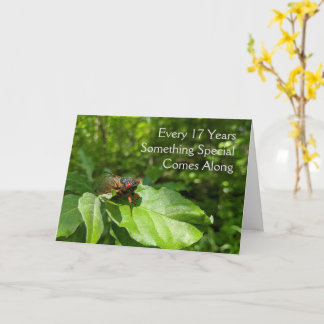 17e verjaardag van Cicada Kaart