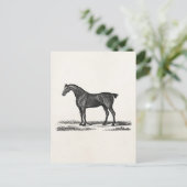  1800 Engelse Hunter Horse Hunting Horses Briefkaart (Staand voorkant)