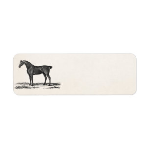 1800 Engelse Hunter Horse Hunting Horses Etiket
