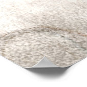  1800 Hammerhead Shark Old Hammer Head Poster (Hoek)