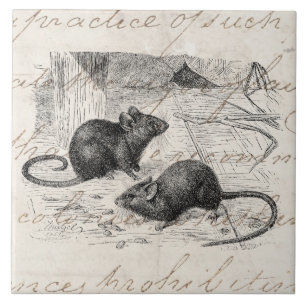 1800-serie Barn Mouse Retro Mice Parchment Tegeltje
