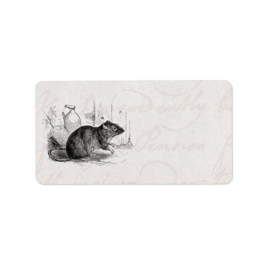  1800s Brown Barn Rat Rats Illustration Etiket (Voorkant)
