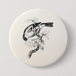  1800s Bullfinch Bird Illustration - Birds Ronde Button 7,6 Cm