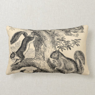  1800s Eekhoorn Illustratie - Eekhoorn Kussen