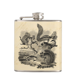 1800s  eekhoorns illustratie - eekhoorn heupfles