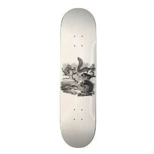 1800s  eekhoorns illustratie - eekhoorn skateboard