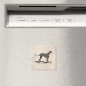 1800s Greyhound Dog Illustration - Honden Magneet (Insitu (Vaatwasser))